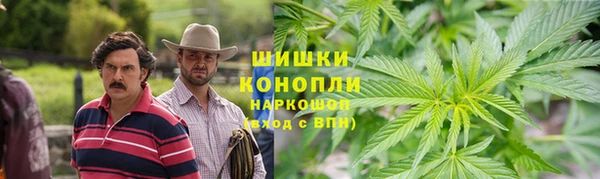 PSILOCYBIN Баксан
