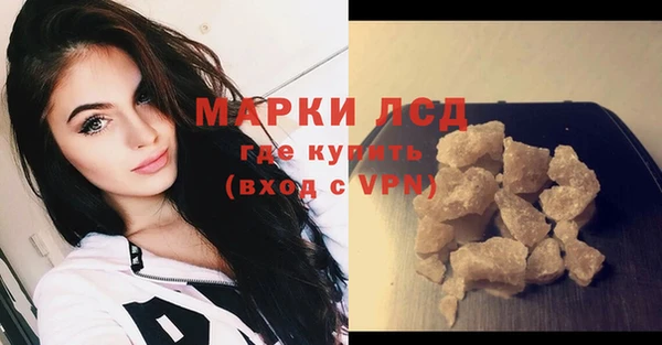 PSILOCYBIN Баксан