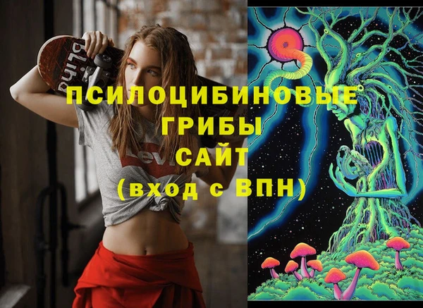 spice Балабаново