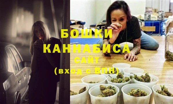PSILOCYBIN Баксан