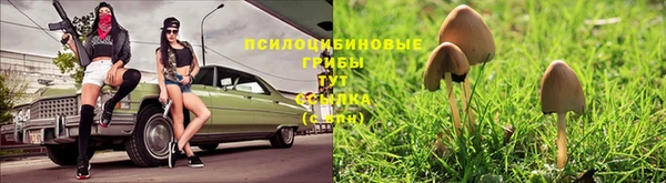 а пвп мука Балахна