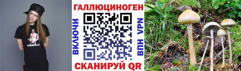 Галлюциногенные грибы мухоморы  как найти закладки  Тырныауз 