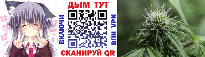 ОМГ ОМГ зеркало где купить наркоту Тырныауз Конопля планчик